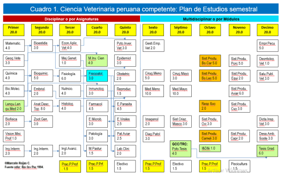 Consultoría para la Gestión del conocimiento en la profesionalización competente - Image 2