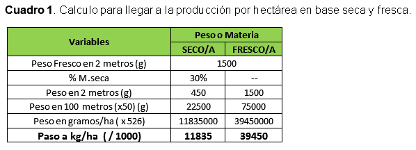 Forrajes: Cuidados a tener en cuenta con los muestreos - Image 5