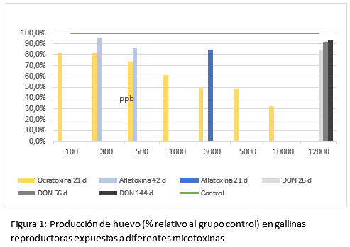 Micotoxinas en gallinas reproductoras: riesgos para la productividad, la mortalidad embrionaria y el desempeño de la progenie - Image 1