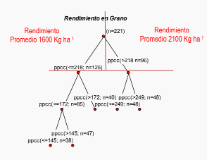Fertilización del trigo con P y N en siembra directa - Image 6
