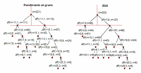 Fertilización del trigo con P y N en siembra directa - Image 7