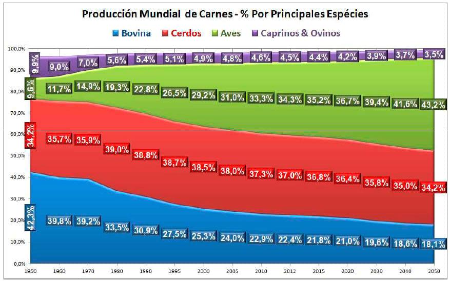 El Negocio Avícola Mundial: Oportunidades y Amenazas - Image 19
