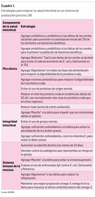 La importancia de la salud intestinal en la producción porcina libre de antibióticos - Image 4
