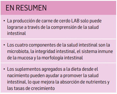 La importancia de la salud intestinal en la producción porcina libre de antibióticos - Image 9