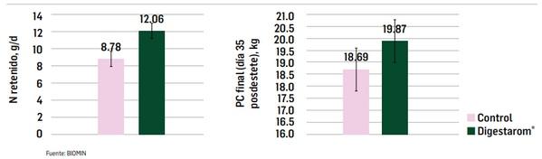 La importancia de la salud intestinal en la producción porcina libre de antibióticos - Image 8