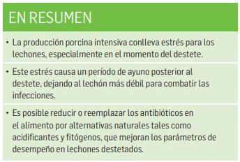 Aditivos naturales como alternativas a los antibióticos en el alimento, en cerdos de destete - Image 7