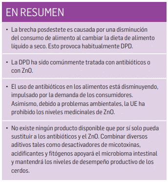La vida después del óxido de zinc: 3 consejos para abordar la diarrea posdestete - Image 3
