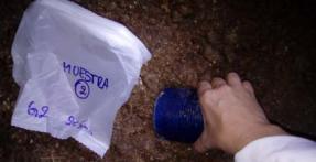 Parámetros a evaluar en la recría de pollos parrilleros para asegurar crianzas óptimas - Image 3
