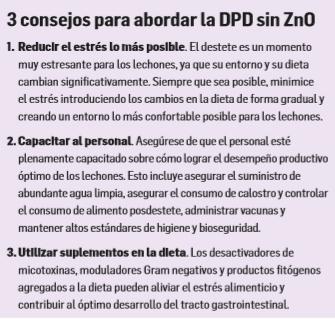 La vida después del óxido de zinc: 3 consejos para abordar la diarrea posdestete - Image 2