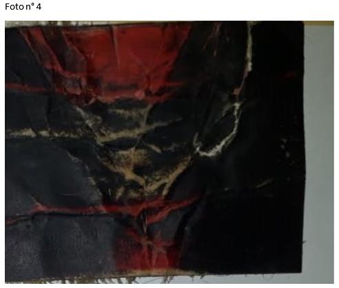  Trabajo con parches tricolores para la deteccion de celo - Image 10