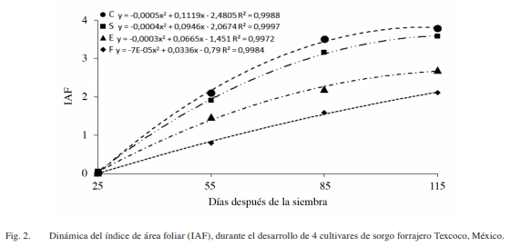 Fenología, biomasa y análisis de crecimiento de cultivares de sorgo forrajero en valles altos - Image 4