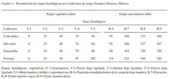 Fenología, biomasa y análisis de crecimiento de cultivares de sorgo forrajero en valles altos - Image 2