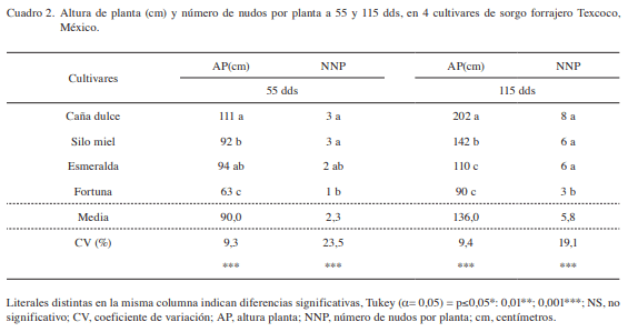 Fenología, biomasa y análisis de crecimiento de cultivares de sorgo forrajero en valles altos - Image 3
