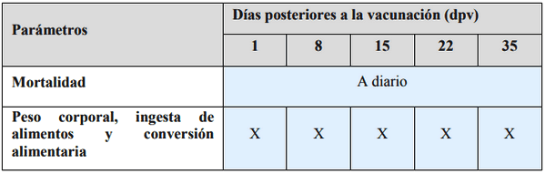 Evaluación del efecto combinado de probióticos y vacuna anticoccidial en pollos de engorde expuestos a coccidia - Image 3