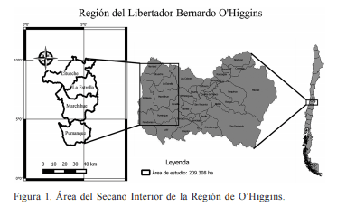 Un método de zonificación ambiental para el establecimiento de especies forrajeras con uso pastoril en Chile central - Image 1