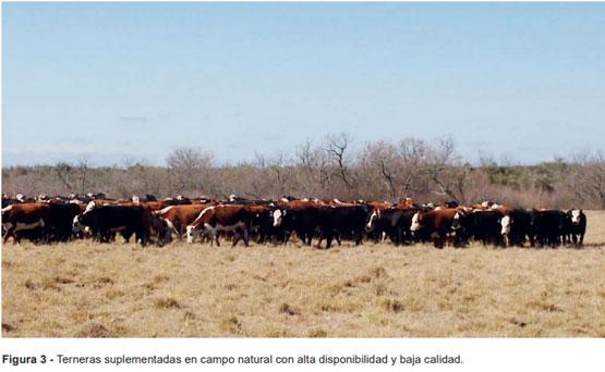  La recría en estos tiempos - Image 4