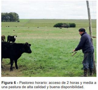  La recría en estos tiempos - Image 7