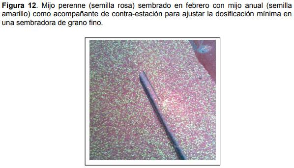 Guia práctica para la implantación de las principales pasturas perennes en zona semiárida (pdos. de bahía blanca y cnel. rosales): Pasto Llorón (Eragrostis curvula) y Agropiro Alargado (Thinopyrum ponticum) - Image 12