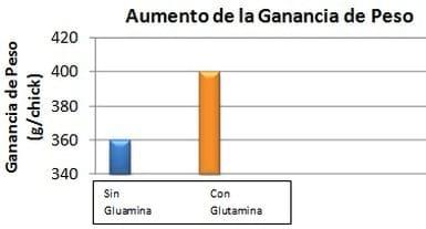 Utilización de aminoácidos condicionalmente esenciales en dietas iniciales de aves: Glutamina y ácido glutámico - Image 5