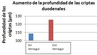 Utilización de aminoácidos condicionalmente esenciales en dietas iniciales de aves: Glutamina y ácido glutámico - Image 7