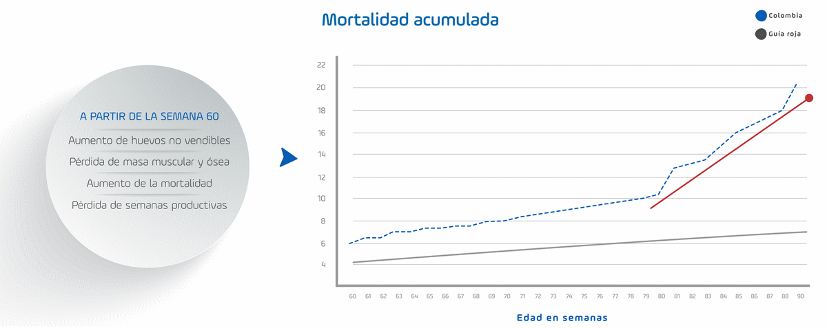 Transformando datos en proteína: La gran posibilidad de disminuir sus ineficiencias productivas - Image 1