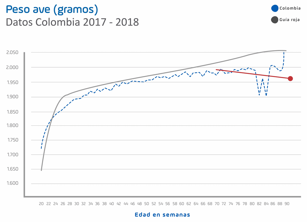 Transformando datos en proteína: La gran posibilidad de disminuir sus ineficiencias productivas - Image 3
