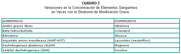Síndrome de movilización grasa en vacas lecheras - Image 2