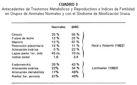 Síndrome de movilización grasa en vacas lecheras - Image 3