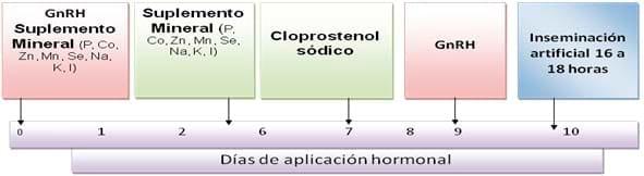 Vida productiva de vaca lechera - Image 2