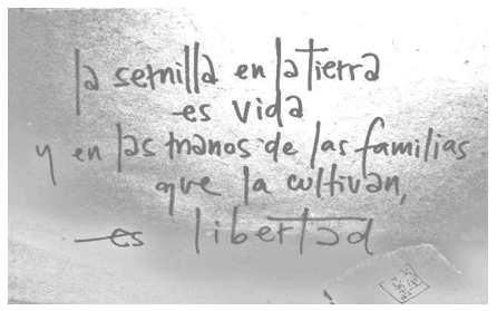 El poder que hay en una sola semilla - Image 6