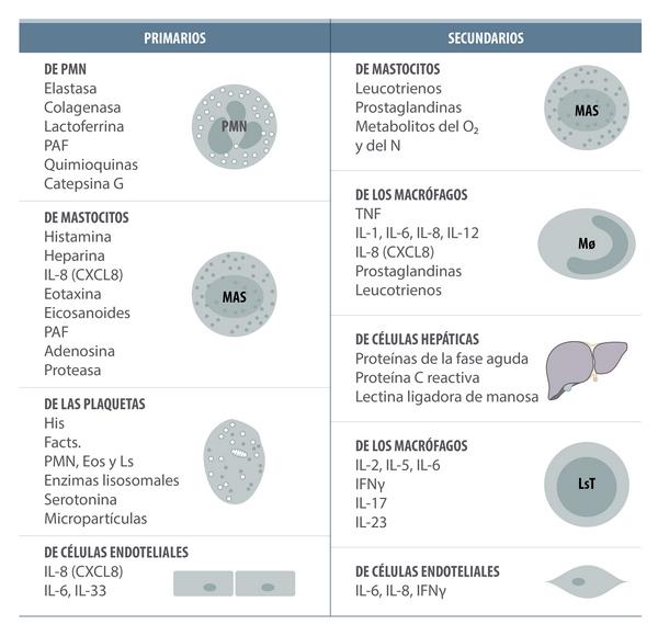 ¿Inflamarse o no inflamarse? Esa es la cuestión. Una actualización sobre las bases inmunológicas de la inflamación y su impacto en la salud animal - Image 4