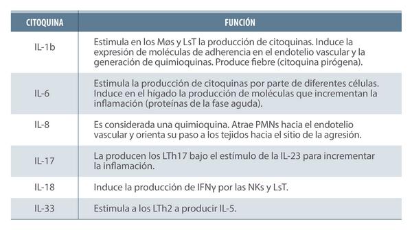 ¿Inflamarse o no inflamarse? Esa es la cuestión. Una actualización sobre las bases inmunológicas de la inflamación y su impacto en la salud animal - Image 3
