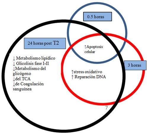 Reducción de los efectos tóxicos de los alimentos, mediante la utilización de los Adsorbentes de Micotoxinas - Revisión - Image 8