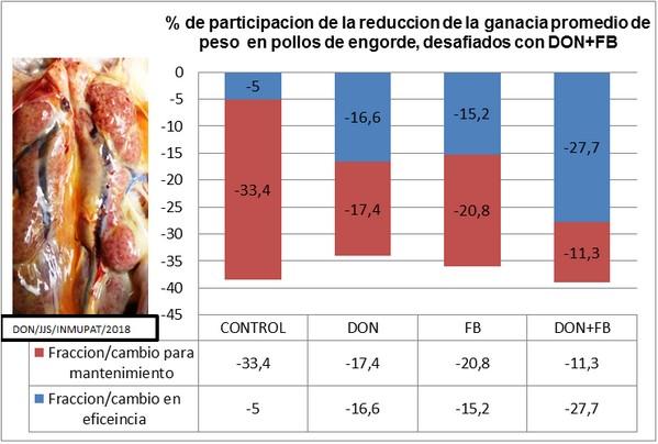 Reducción de los efectos tóxicos de los alimentos, mediante la utilización de los Adsorbentes de Micotoxinas - Revisión - Image 9