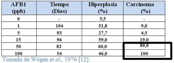 Reducción de los efectos tóxicos de los alimentos, mediante la utilización de los Adsorbentes de Micotoxinas - Revisión - Image 3