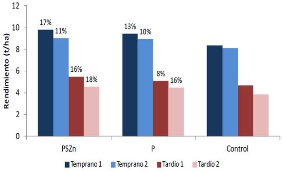 Maíces tempranos, tardíos o de segunda: ¿todos iguales? - Image 1