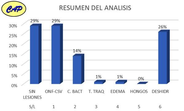 Calidad de pollito: Arranque fundamental - Evaluacion de mortalidad 5 dias - Image 15