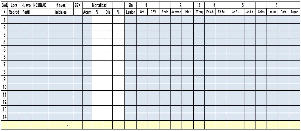 Calidad de pollito: Arranque fundamental - Evaluacion de mortalidad 5 dias - Image 1