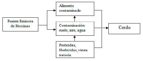 Riesgos en el Mercado de exportación asociado a contaminación de la carne de cerdo con dioximas, furanos y PCBs. elaborando programas de vigilancia en la Industria Nacional - Image 1