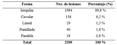 Evaluación de las contusiones y del pH en canales bovinas en un matadero de la provincia de Santa Fe - Image 3