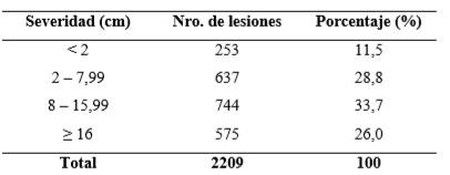 Evaluación de las contusiones y del pH en canales bovinas en un matadero de la provincia de Santa Fe - Image 5
