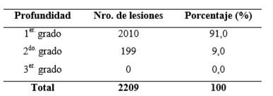Evaluación de las contusiones y del pH en canales bovinas en un matadero de la provincia de Santa Fe - Image 6