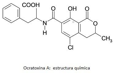 Cacao: Hongos y Micotoxinas - Image 1