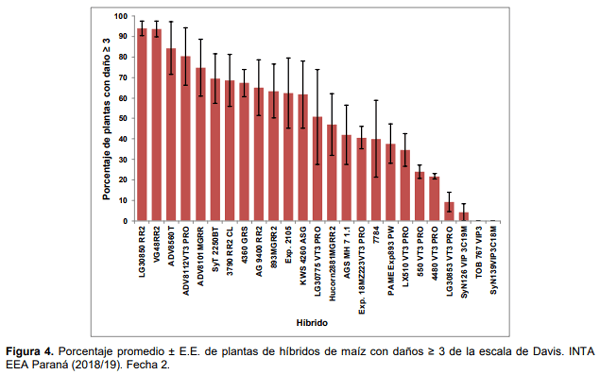 Maíz para silaje: evaluación de híbridos en siembra temprana y tardía en el ciclo agrícola 2018/19 - Image 9