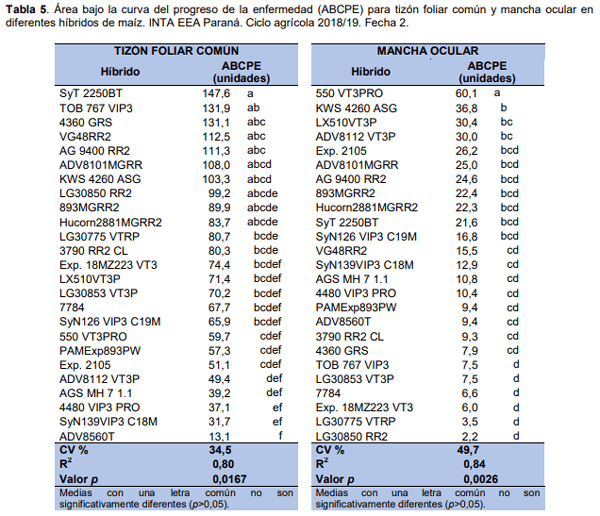 Maíz para silaje: evaluación de híbridos en siembra temprana y tardía en el ciclo agrícola 2018/19 - Image 7