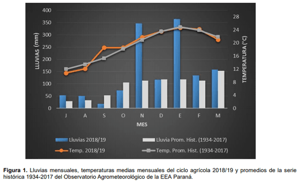 Maíz para silaje: evaluación de híbridos en siembra temprana y tardía en el ciclo agrícola 2018/19 - Image 1