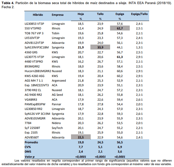 Maíz para silaje: evaluación de híbridos en siembra temprana y tardía en el ciclo agrícola 2018/19 - Image 6