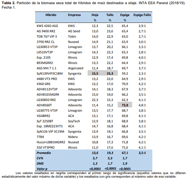 Maíz para silaje: evaluación de híbridos en siembra temprana y tardía en el ciclo agrícola 2018/19 - Image 3