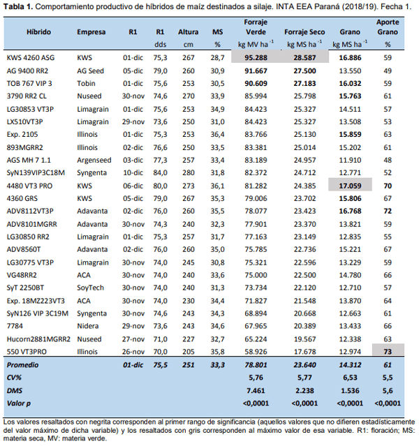 Maíz para silaje: evaluación de híbridos en siembra temprana y tardía en el ciclo agrícola 2018/19 - Image 2