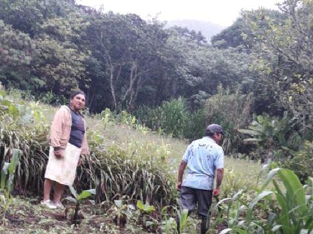 Dialogando con la huerta ancestral en Loja para el manejo de la humedad y fertilidad - Image 7